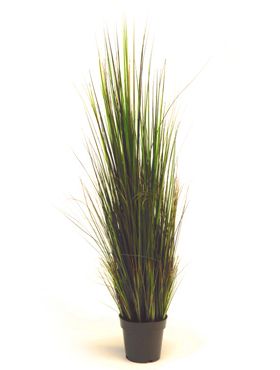 Gras Pflanz Kunstpflanzen von 45cm kaufen?- 123zimmerpflanzen