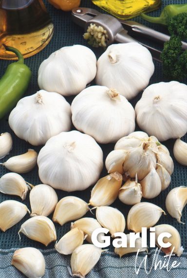 Garlic white knoblauchzwiebeln