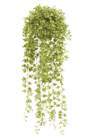 Green ivy garland Kunstpflanzen von 180cm kaufen?- 123zimmerpflanzen