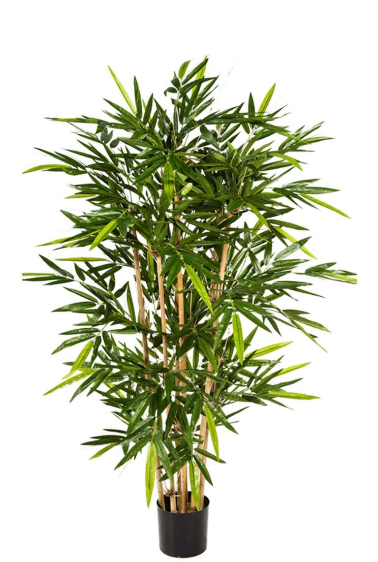 Kunstpflanzen Bamboo kaufen?- 123zimmerpflanzen 150cm von