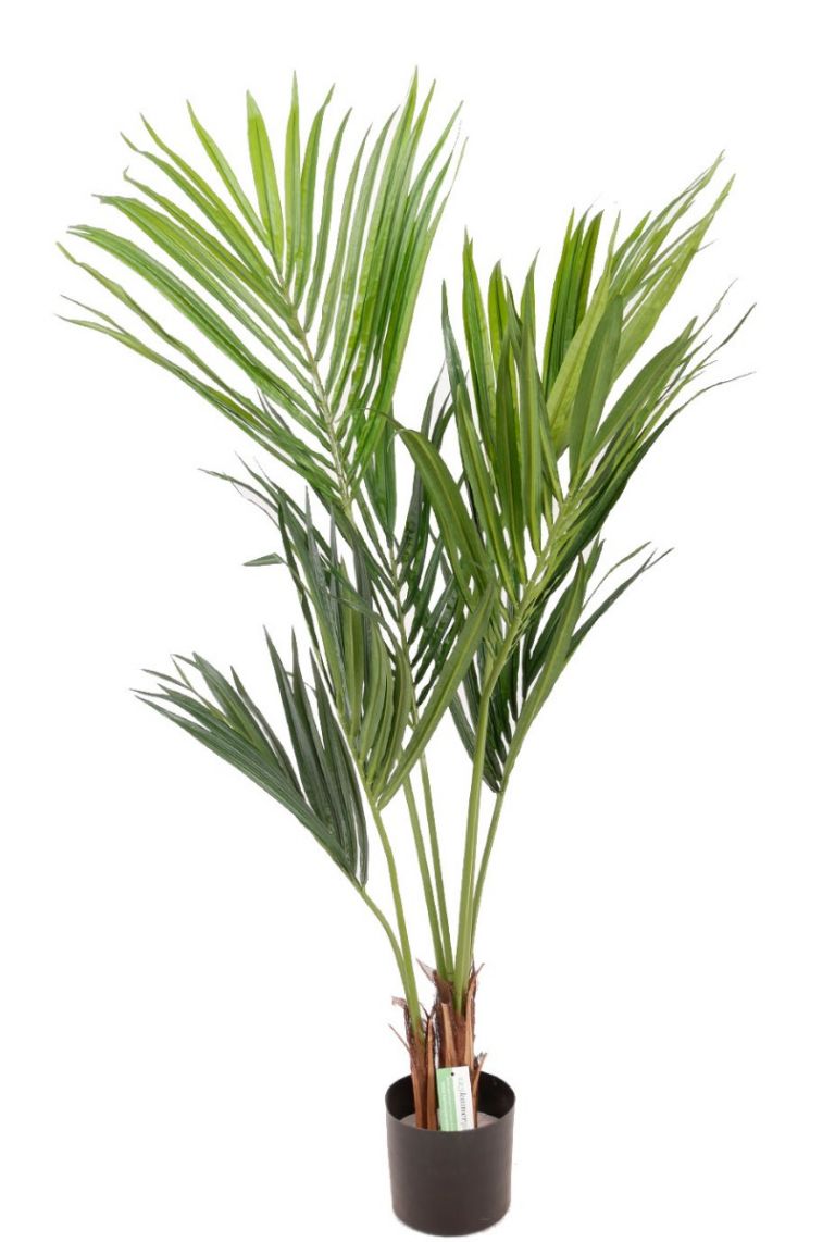 Kentia palm Kunstpflanzen 140cm kaufen?- von 123zimmerpflanzen
