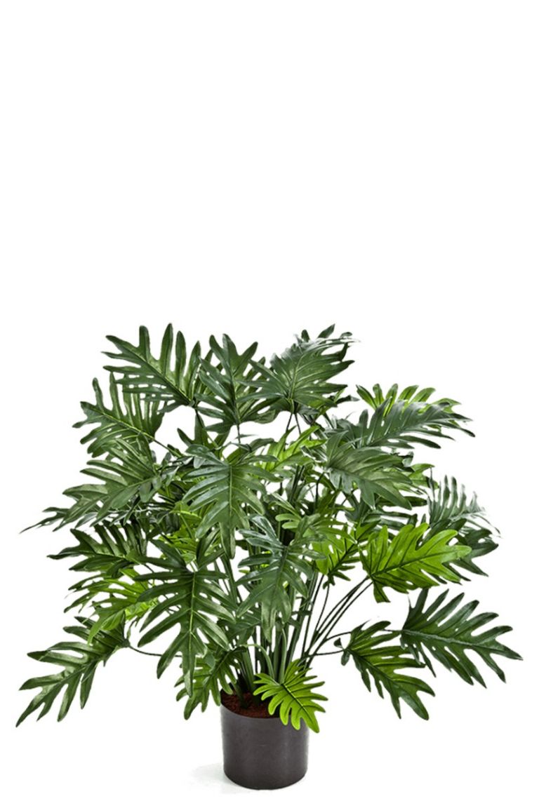 Philodendron Selloum Kunstpflanzen von 75cm 123zimmerpflanzen kaufen