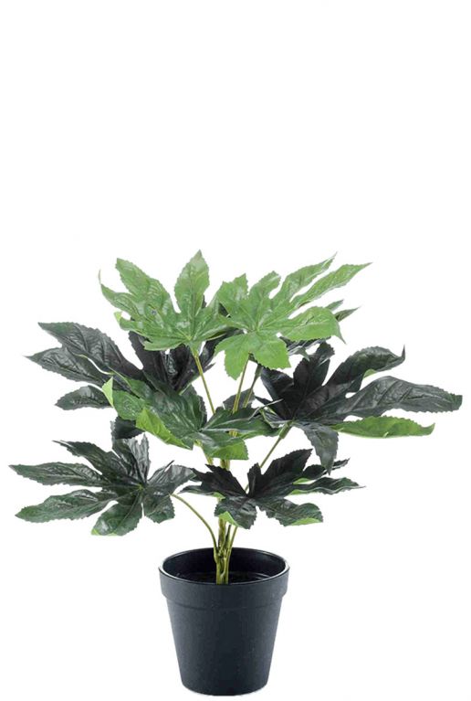 Fatsia kunstplant