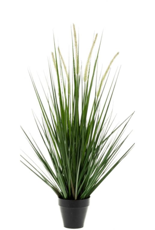 Graspflanze alopecurus Kunstpflanzen 53cm von 123zimmerpflanzen kaufen