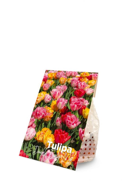 Tulipa dubbel vroeg mix product