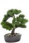 Bonsai kunstboom kunstplant